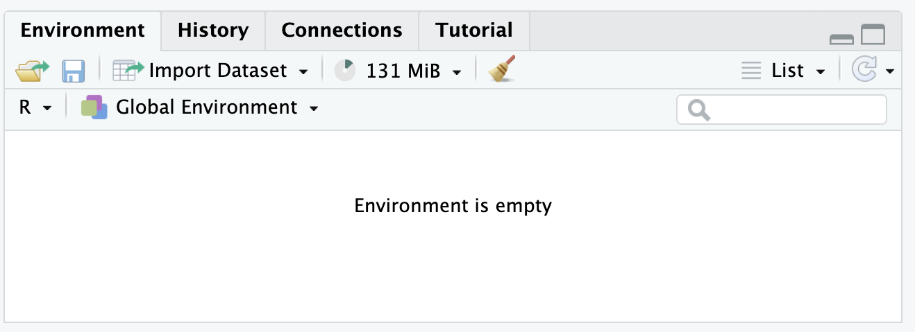Environment/History Panel